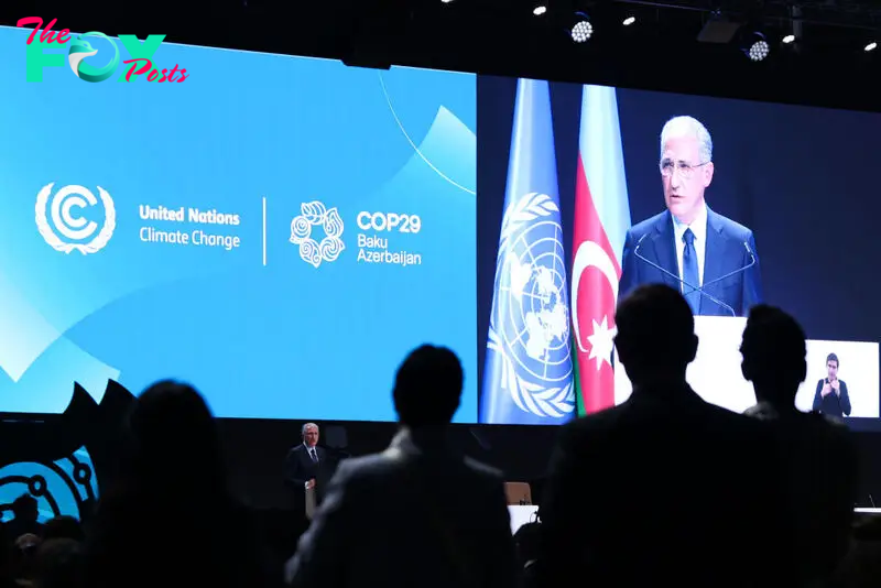 COP29 Opens in Azerbaijan With Climate Finance at Top of Agenda