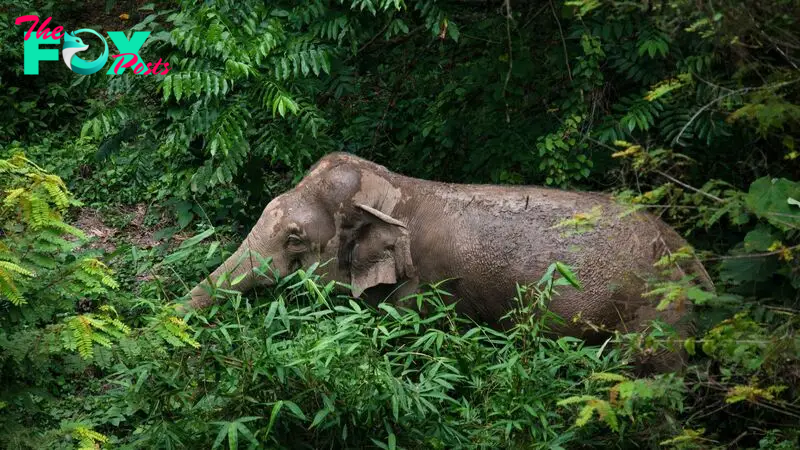 10 National Parks in Thailand All Nature Lovers Must Explore