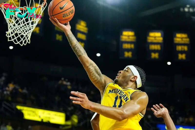 Michigan vs TCU Prediction 11-15-24 College Basketball Picks