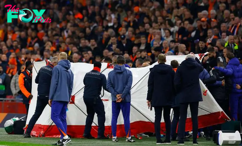 What happened to the Hungary coach during the game against the Netherlands?