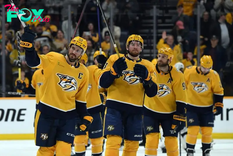 Seattle Kraken vs Nashville Predators Prediction 11-20-24 NHL Picks