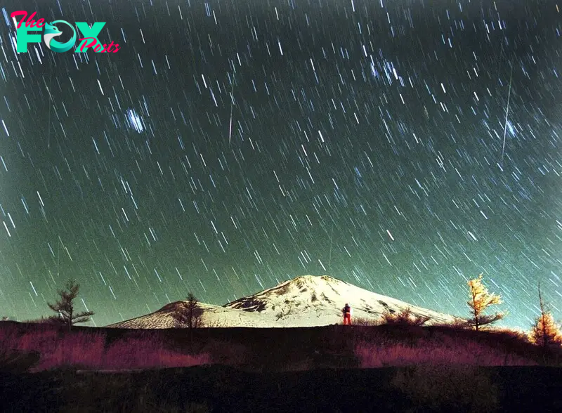 You Won’t Want to Miss the Leonid Meteor Shower. Here’s How and When You Can See It